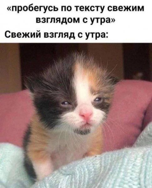 IMG 20260814 012701 402