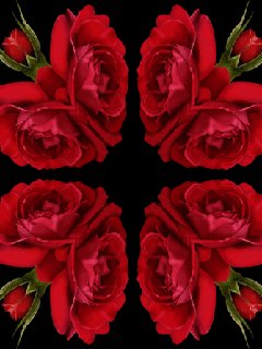 file_55427896