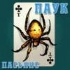 ПасьянсПаук