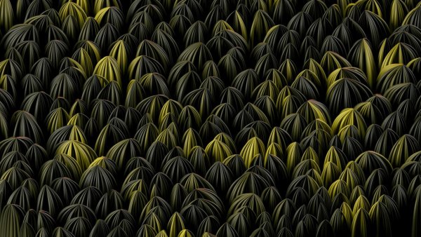 IMG 20240703 081917 148