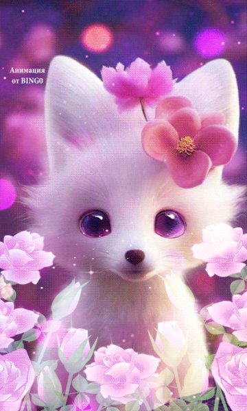 file_92347241