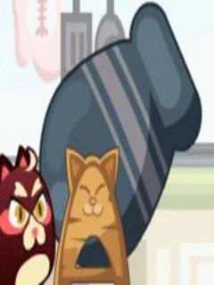 Cats Cannon