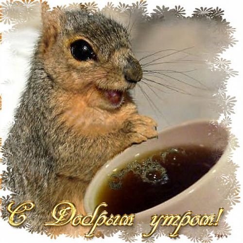 С добрым утром