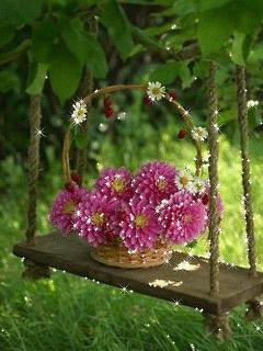 file_63151998