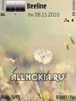 Dandelion by Shmily