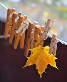 file_94968547