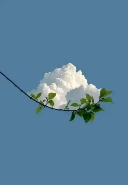 file_96747134