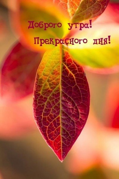file_94976985