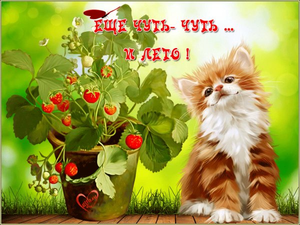 bad4b39c9b01403c0b8c27999fc0