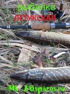 Летукская рыбалка (чит - версия )