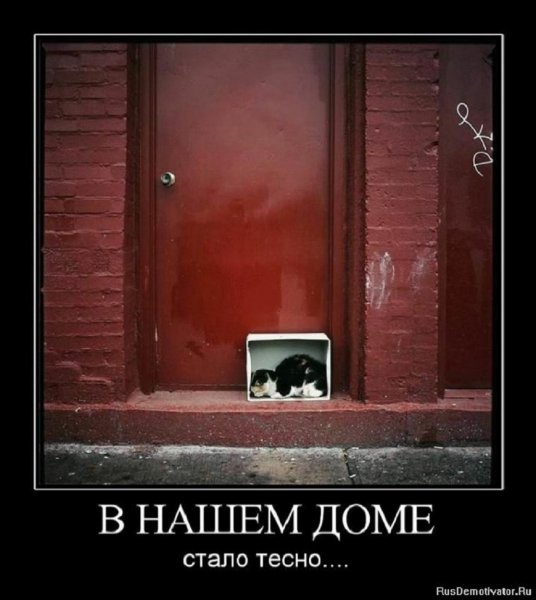 В нашем доме стало тесно