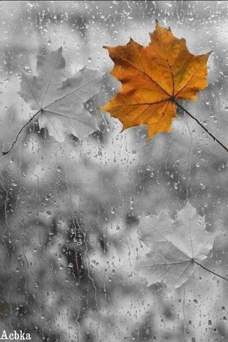 file_94543984