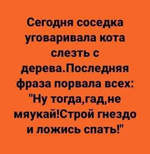 FB IMG 1716046748392