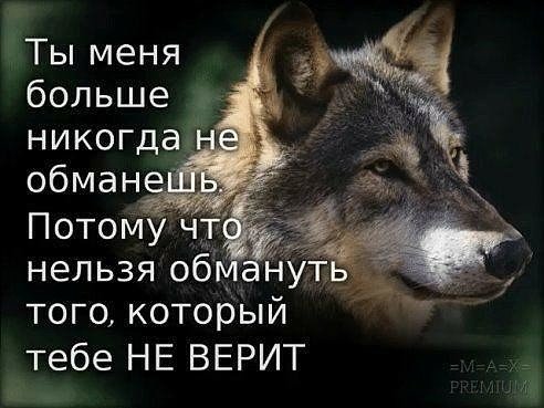file_62454916