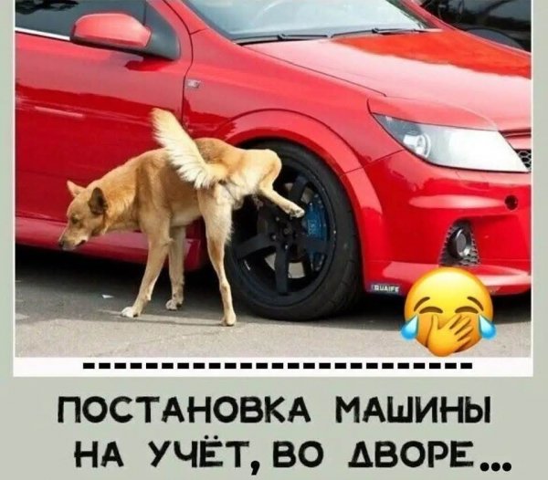 FB IMG 1778093193491
