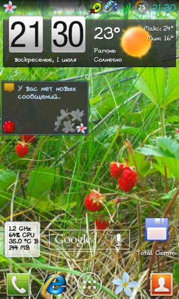 ru.boomik.jasminewidget-1