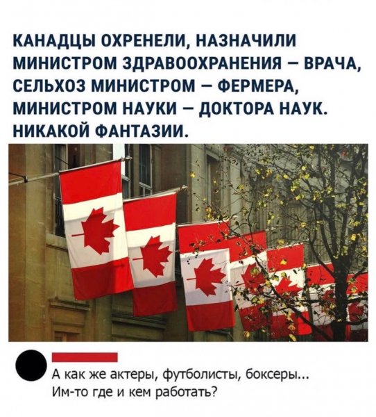 FB IMG 1774707213452