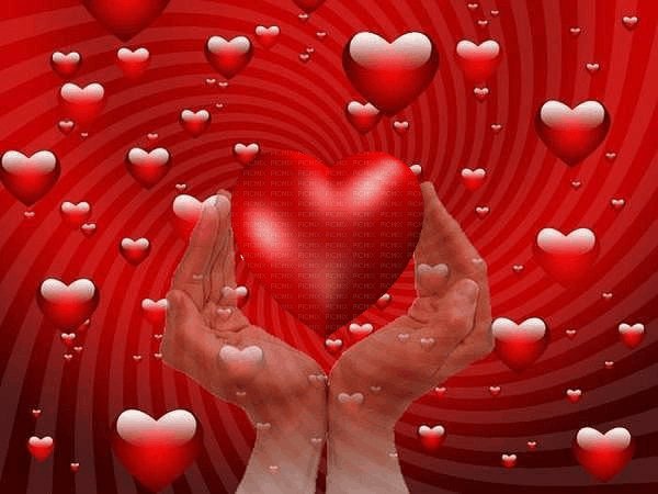 deco IMG 20160424 055846 3