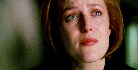 E06c8e1f7e268ef32376dd58889d8168