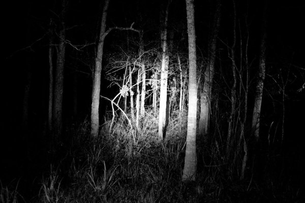 oboi atmospheric black metal 001