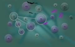 Phage-Wars-setup