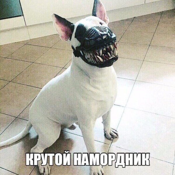 file_77943068