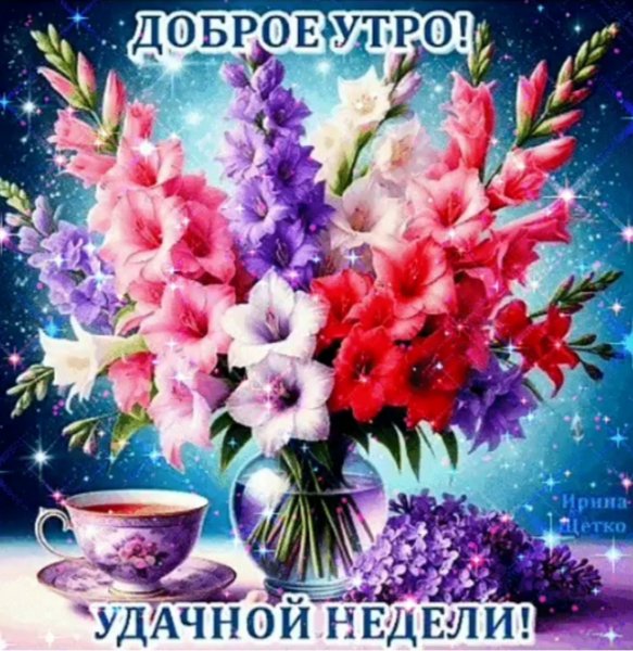 IMG 20260414 200533