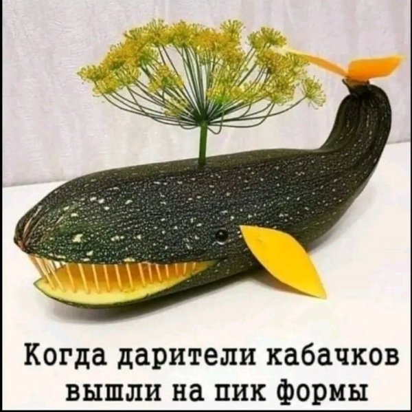 file_103195824