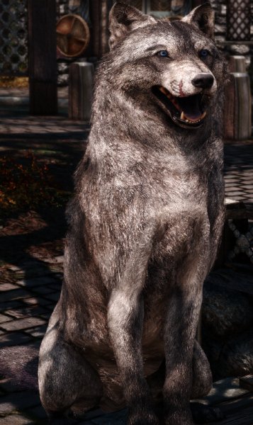 Скайрим волк компаньон мод