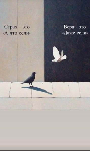 FB IMG 1776154172694