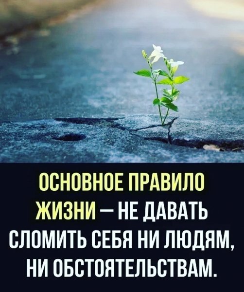 Правило Жизни!