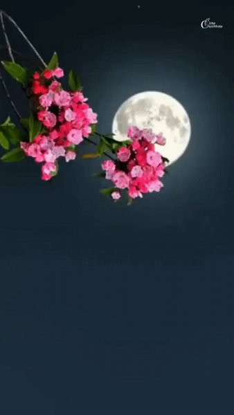IMG 20230626 185254