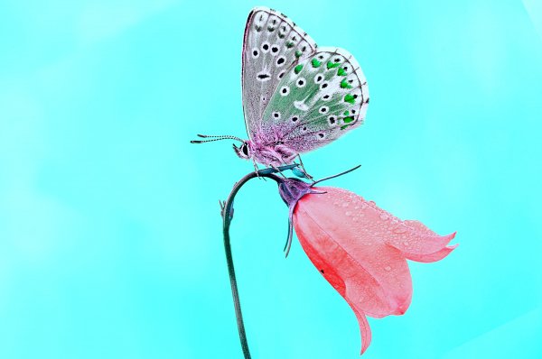 IMG 20210611 124829