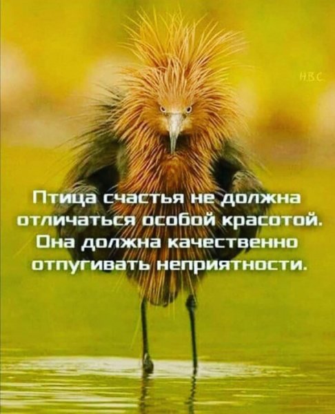 ))-