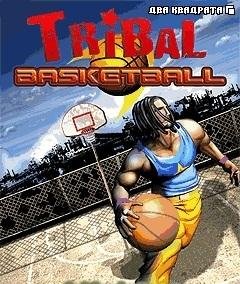 tribal basketball640х360