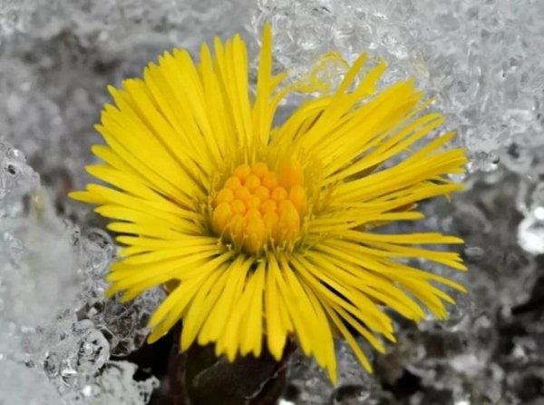 IMG 20260324 214619 131