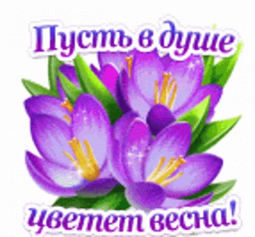 Пусть в душе цветет весна