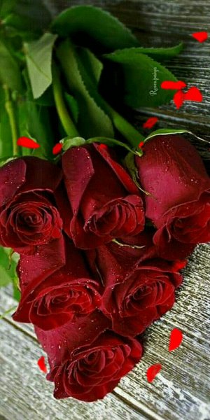 file_90250621