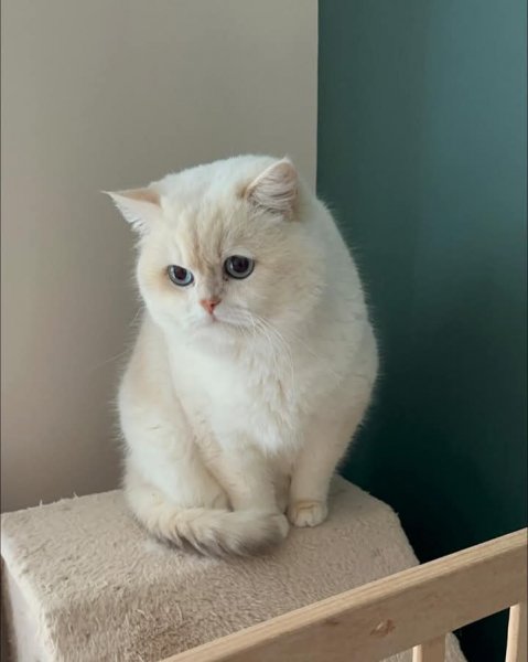 FB IMG 1772377950294