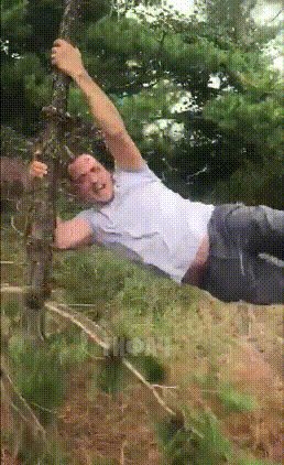 e4732423452f011d595f57f0d4dab8ef62ec8ff24d40c2293a24ae2fd9553