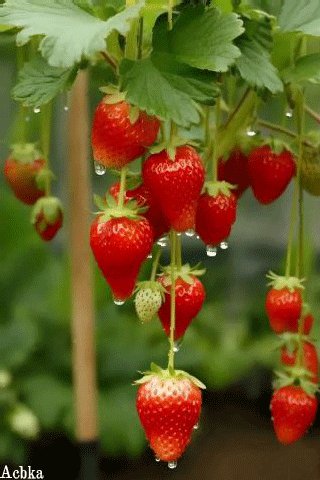 file_97326013