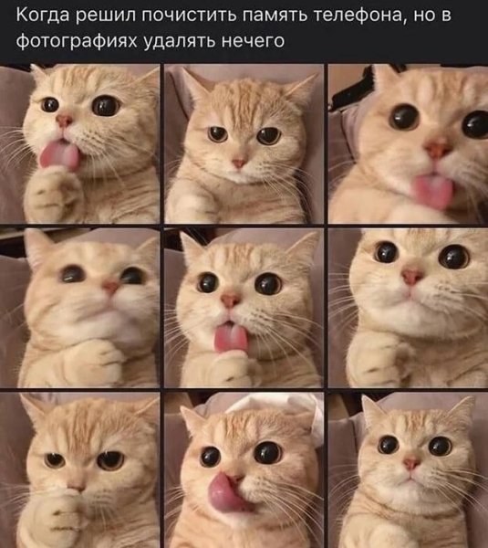 file_103253946
