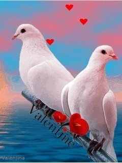 file_44428575
