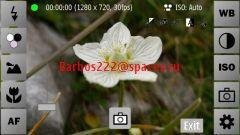 qCameraPro PureView 3.04(3)