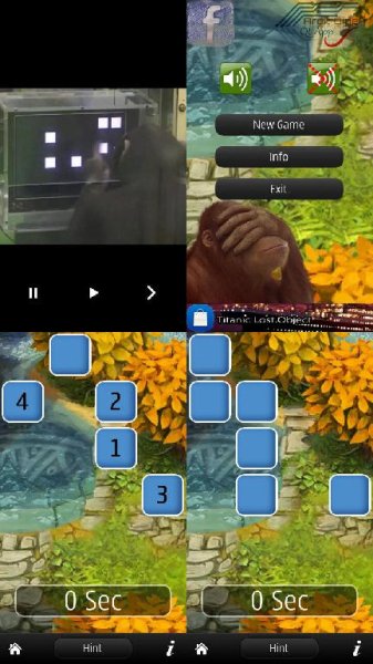 Monkey Number S^3-Belle