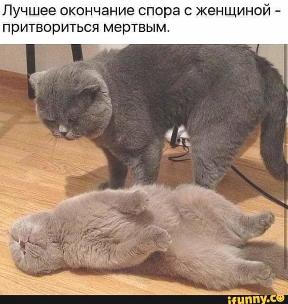 2fa57bb8e5cb2b4e467430f2979d8abab44cb38054989d7be2f46d1cdbe95