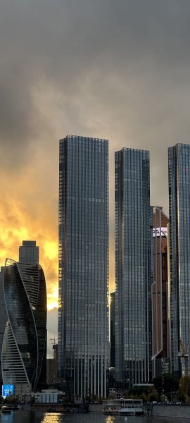 adapted 1080x2400 1760561199