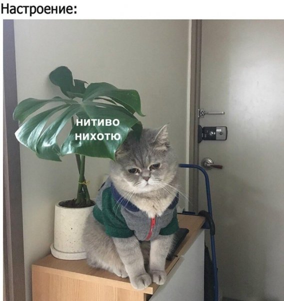 file_101837245