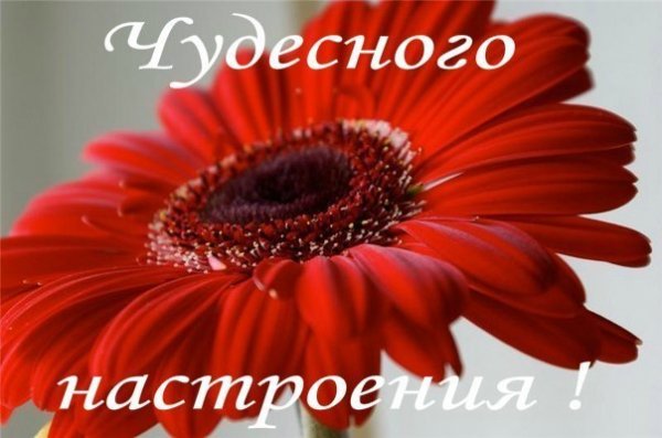 AyugdH3B-s0