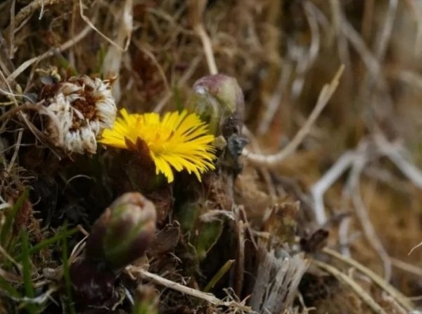 IMG 20260324 214619 140